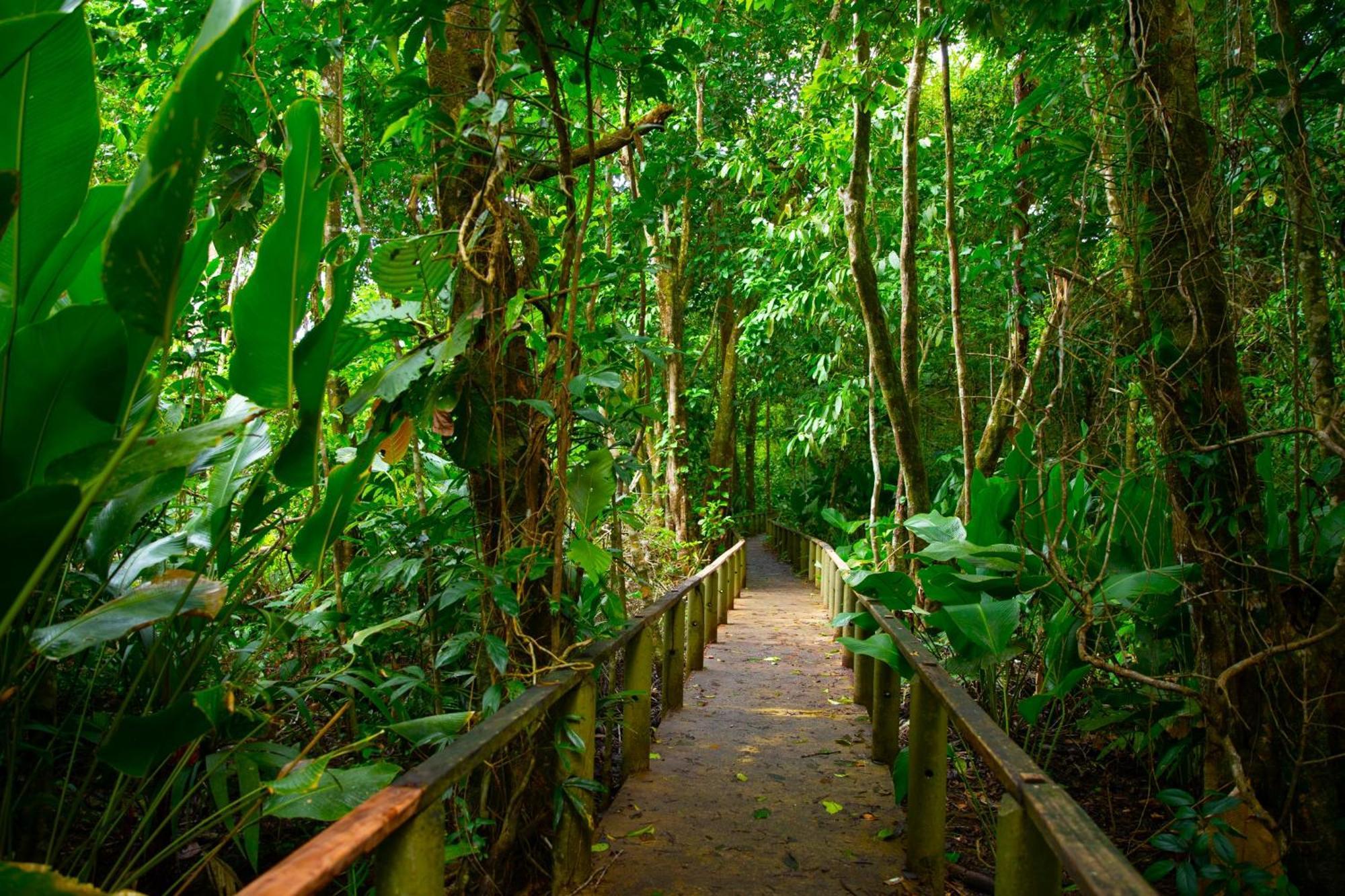Evergreen Lodge Tortuguero Luaran gambar