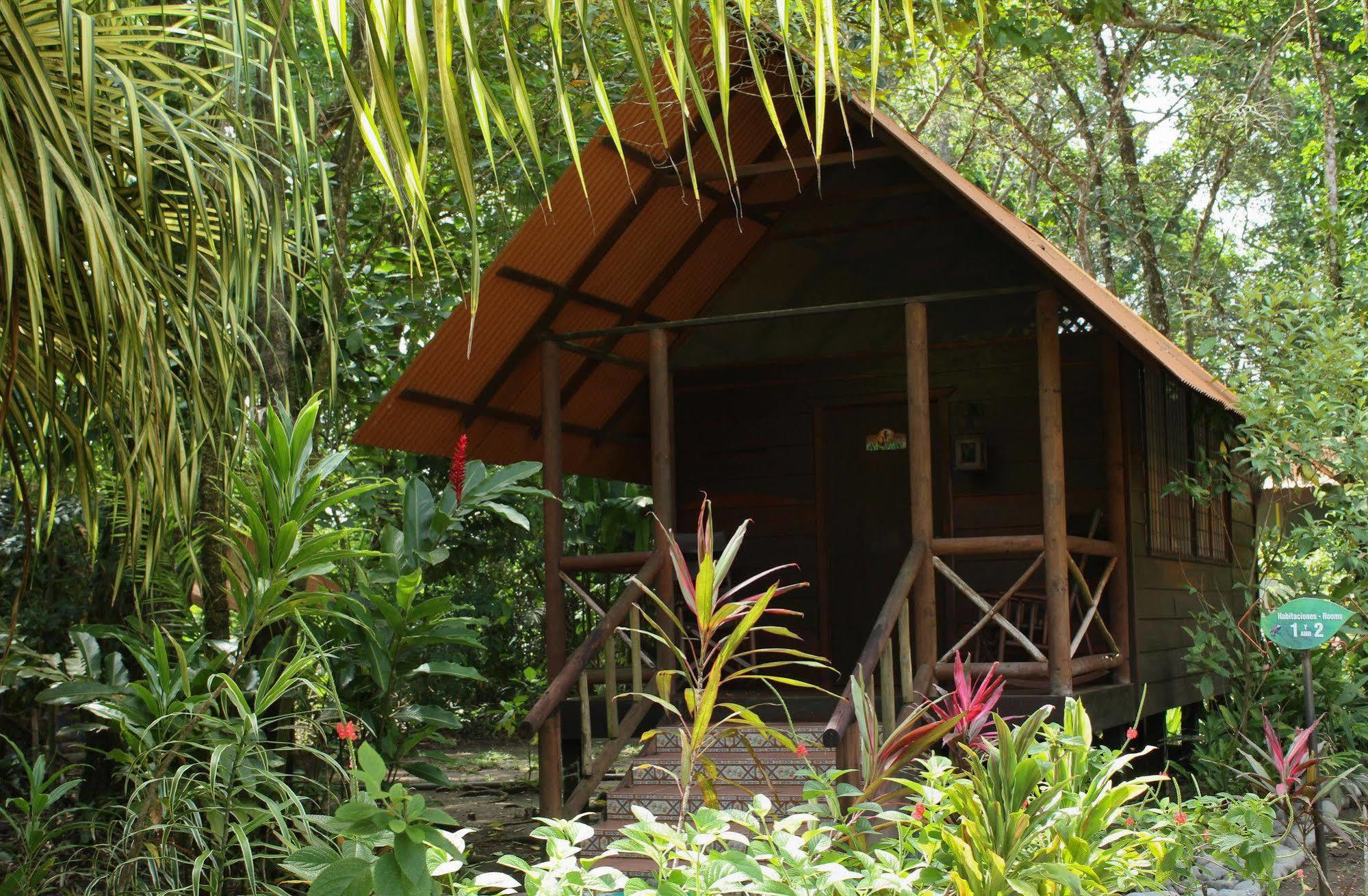 Evergreen Lodge Tortuguero Luaran gambar