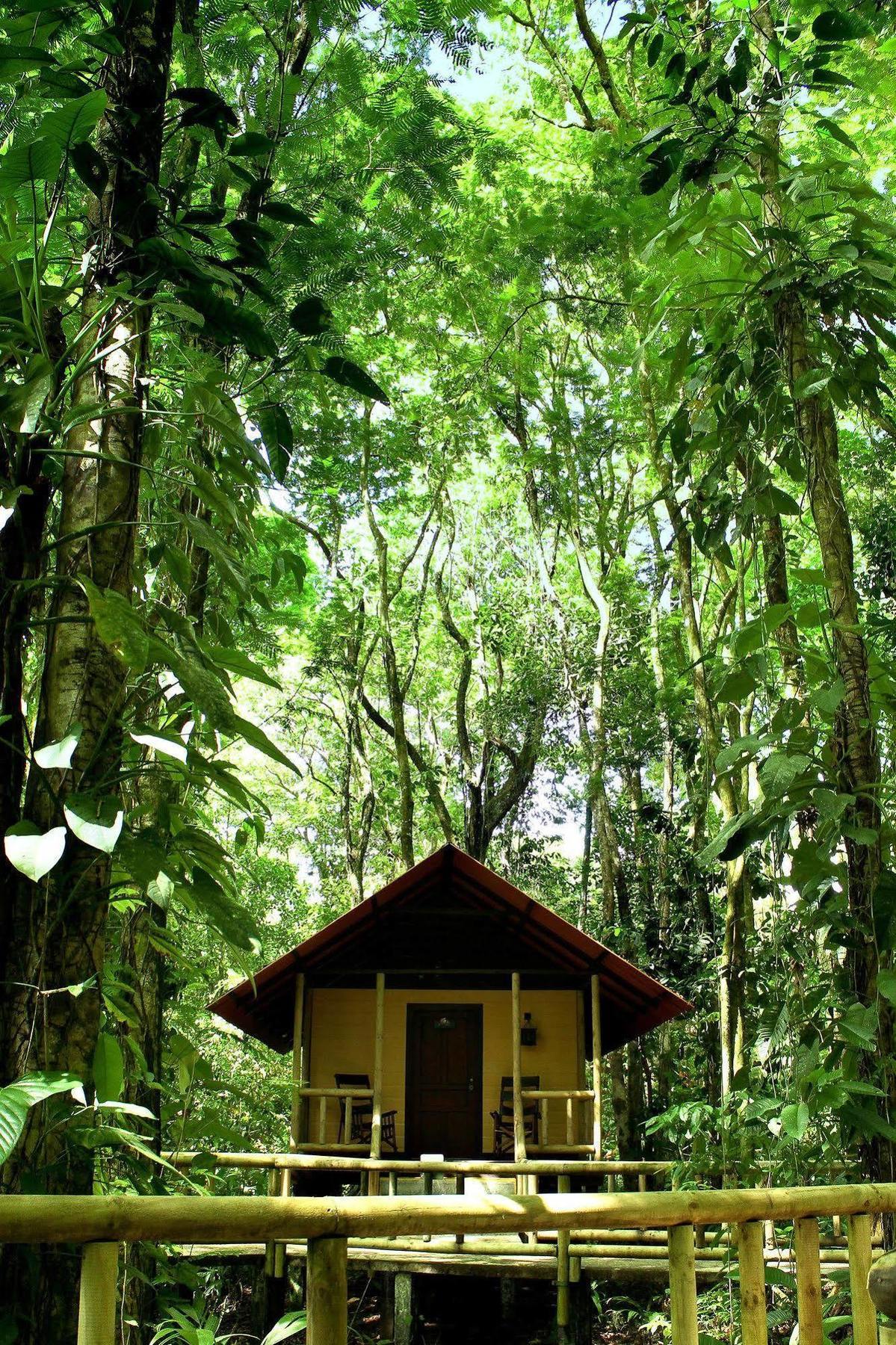 Evergreen Lodge Tortuguero Luaran gambar